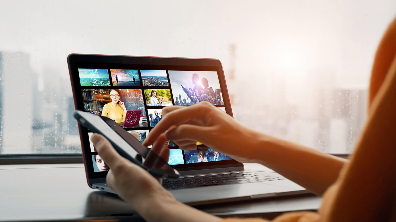 Adobe Creative Cloud Pro エディションならAdobe Stockが使い放題